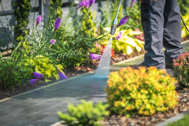 Best Pool Deck Cleaning in New Concord, OH